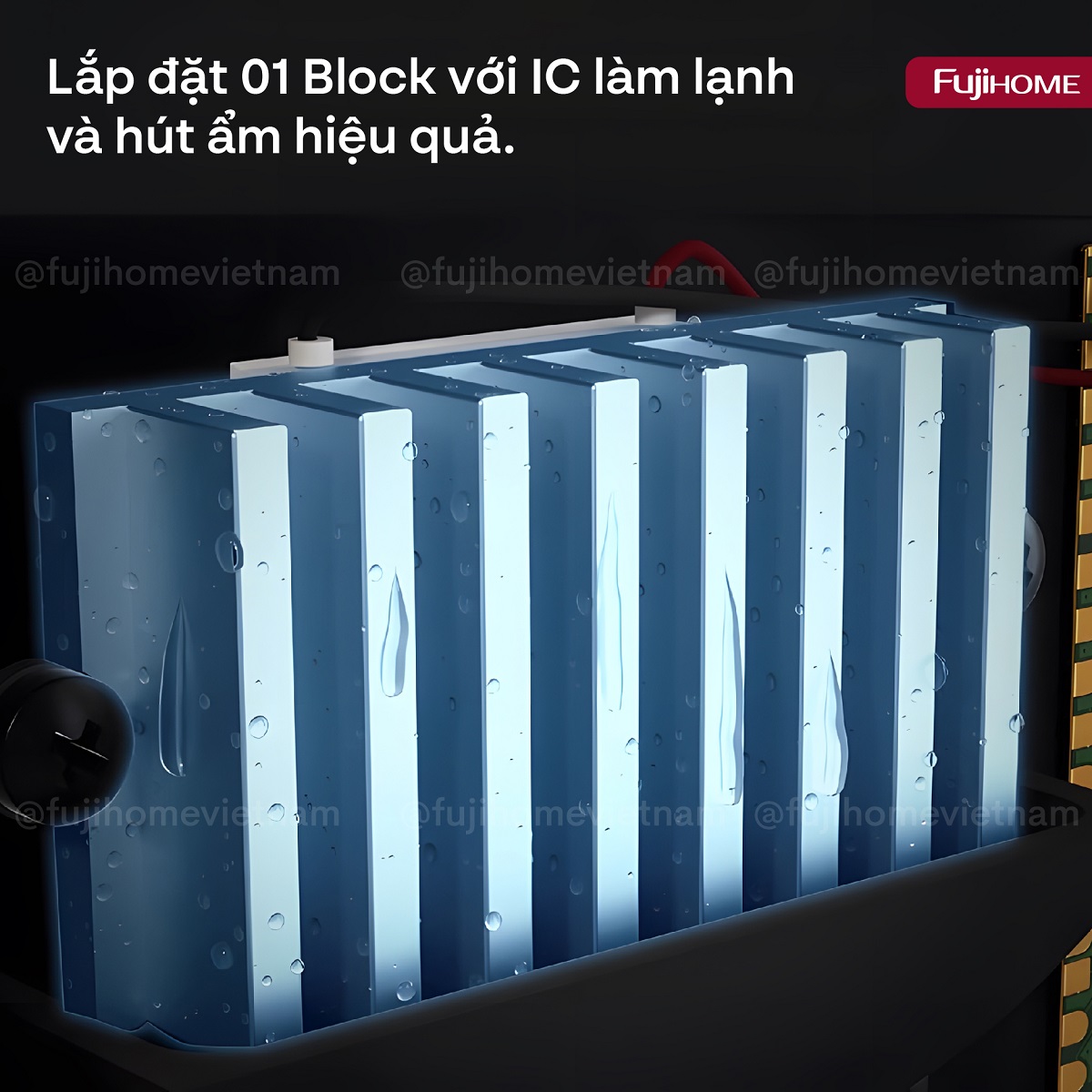 30m-06 Tủ chống ẩm thế hệ mới Fujihome DC-30M 30L