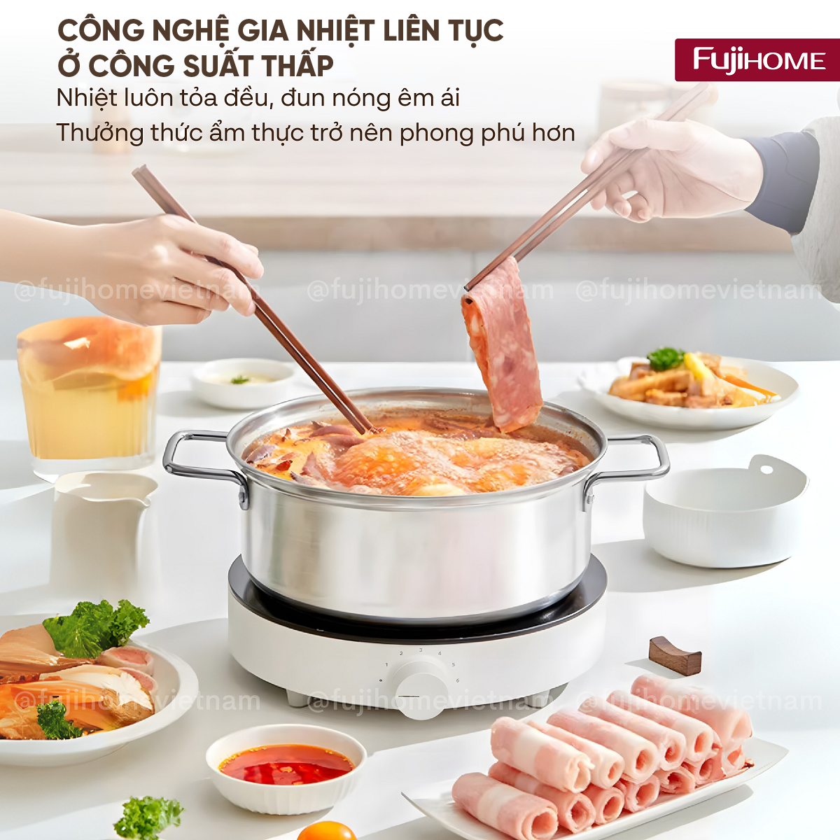 Bếp từ fujihome