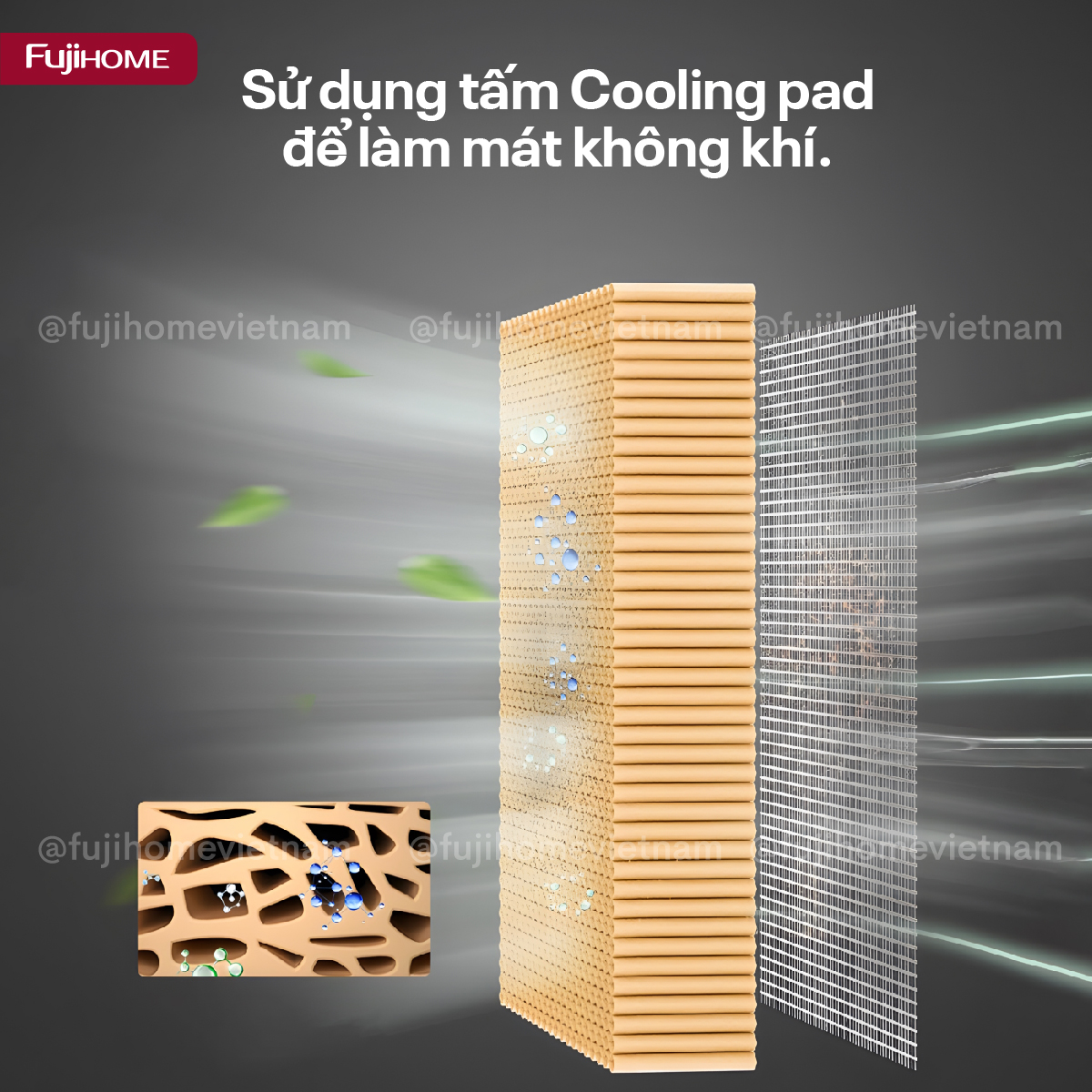 Quạt không cánh hơi nước tích hợp lọc không khí Ion Fujihome BF-03RC