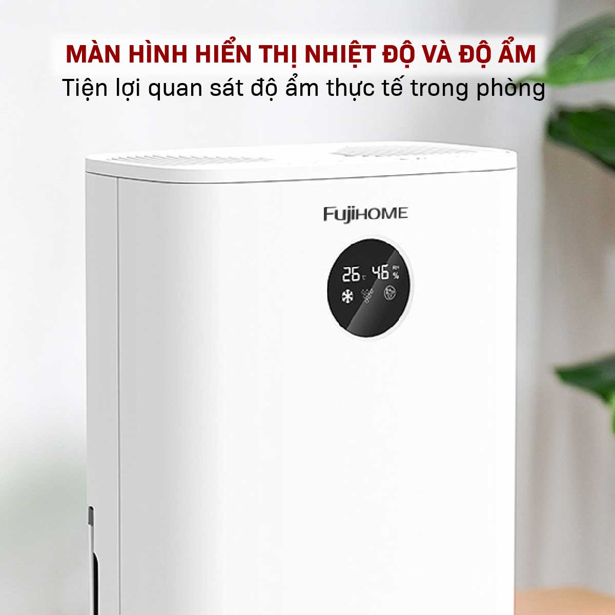 Máy hút ẩm bán dẫn tích hợp lọc không khí Fujihome DHP05-MINI